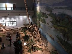 -自贡恐龙博物馆