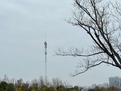 -盘龙城遗址博物院