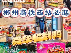 -郴州特产舜华临武鸭(郴州西站店)