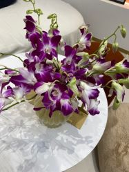 -WENDY·温迪皮肤管理