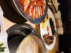 -守柴炉烤鸭(科华中路王府井店)