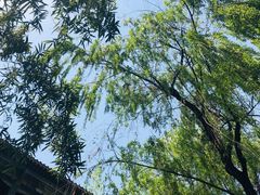 -西安曲江寒窑遗址公园