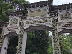 -云碧峰国家森林公园