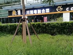 -YAFEE雅菲·粤菜·湘菜·融合菜(魏公村店)
