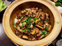 -红星光发煲仔饭(文海店)