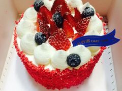 -卡吉诺动物奶油生日蛋糕(中原路店)