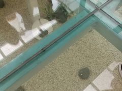 -确喜美味小厨(西单商场兰州店)