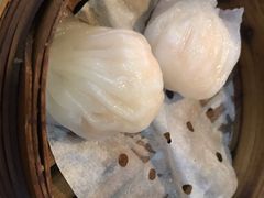 添运来虾饺皇-添运来(茶园奥园广场店)