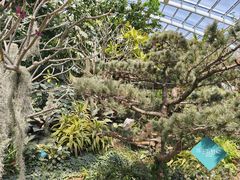 -济南植物园