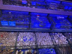 -青蓬蒸汽海鲜·深圳老字号·团建聚会(壹方城店)