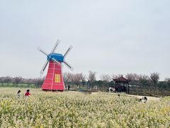 -武汉紫薇都市田园