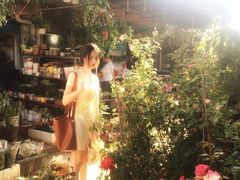 -桂林市花鸟市场