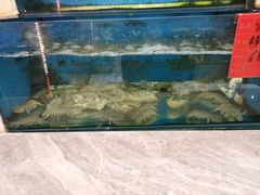 -小铜锣湾海鲜家常菜馆(河西店)