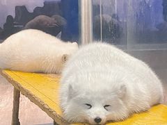 -南京海底世界