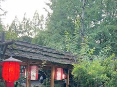 -青城甲(青城山店)