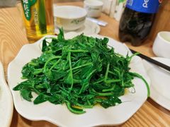 -老成渝川菜馆(麦溪路店)