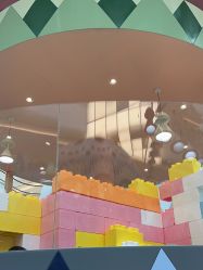 -超级奈尔宝SUPER NEOBIO(杭州星光店)