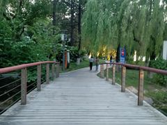 -金鸡湖景区