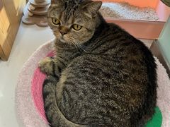-纳吉亚猫专科动物医院博雅分院