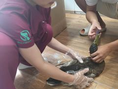 -瑞派·关忠动物医院·异宠专科·犬猫肿瘤·皮肤专科(望京店)