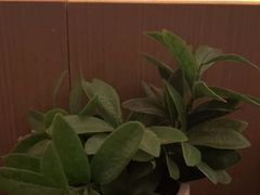 -润生源足道·SPA(个园店)