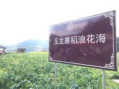 -玉龙寨旅游景区