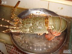 小青龙-潮人姐妹轩(海宁路店)