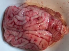 -储奇门鳝鱼火锅(总店)