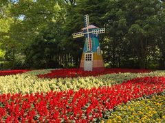 -上海共青森林公园