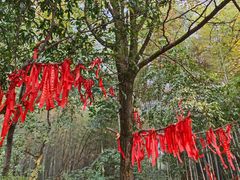 -西湖风景区十里琅珰-五云山