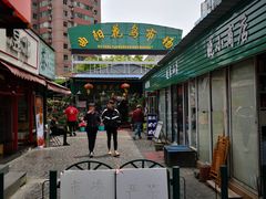 -曲阳花鸟市场(曲阳路店)