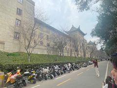 -武汉大学-樱园
