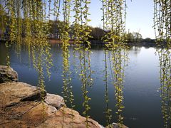 -大兴滨河森林公园