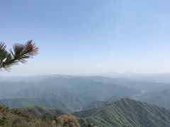 -王顺山国家森林公园
