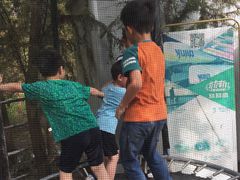 -动邦皮划艇·桨板·独木舟·团建户外运动俱乐部