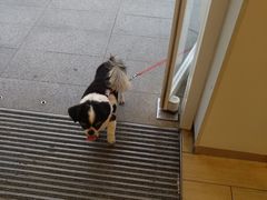 -好利来(八角店)