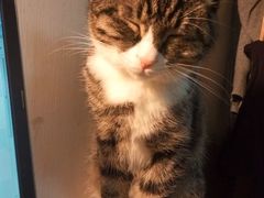 -猫山王创意蛋糕店(东城万达店)