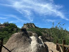 -大岭沟猕猴桃谷风景区