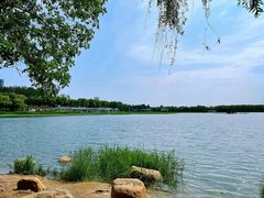 -大兴滨河森林公园