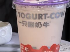 -一只酸奶牛(八一路店)