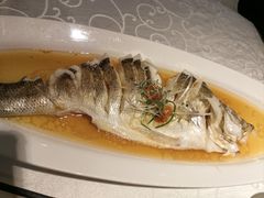 -阿英煲(凉城路店)