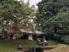 -凤阁楼果木烧鹅(鹤山陈山店)