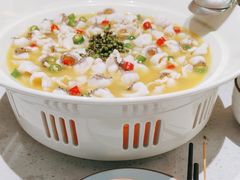 -青花椒花椒鱼(合生汇店)