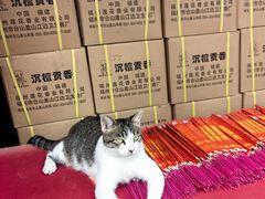 -龙华素斋(龙华路店)