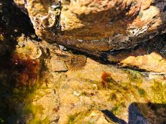 -青岛第三海水浴场