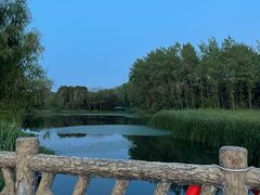 -昆山城市生态森林公园