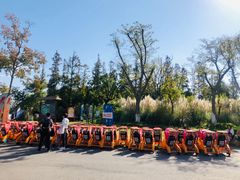 -上海长兴岛郊野公园