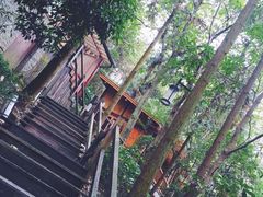 -天明山温泉大酒店