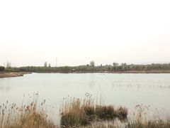 -淇河国家湿地公园