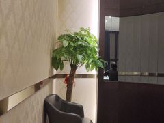 -沪碟·精菜坊(闵行店)